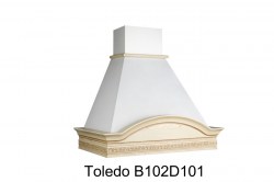 Toledo B102D101